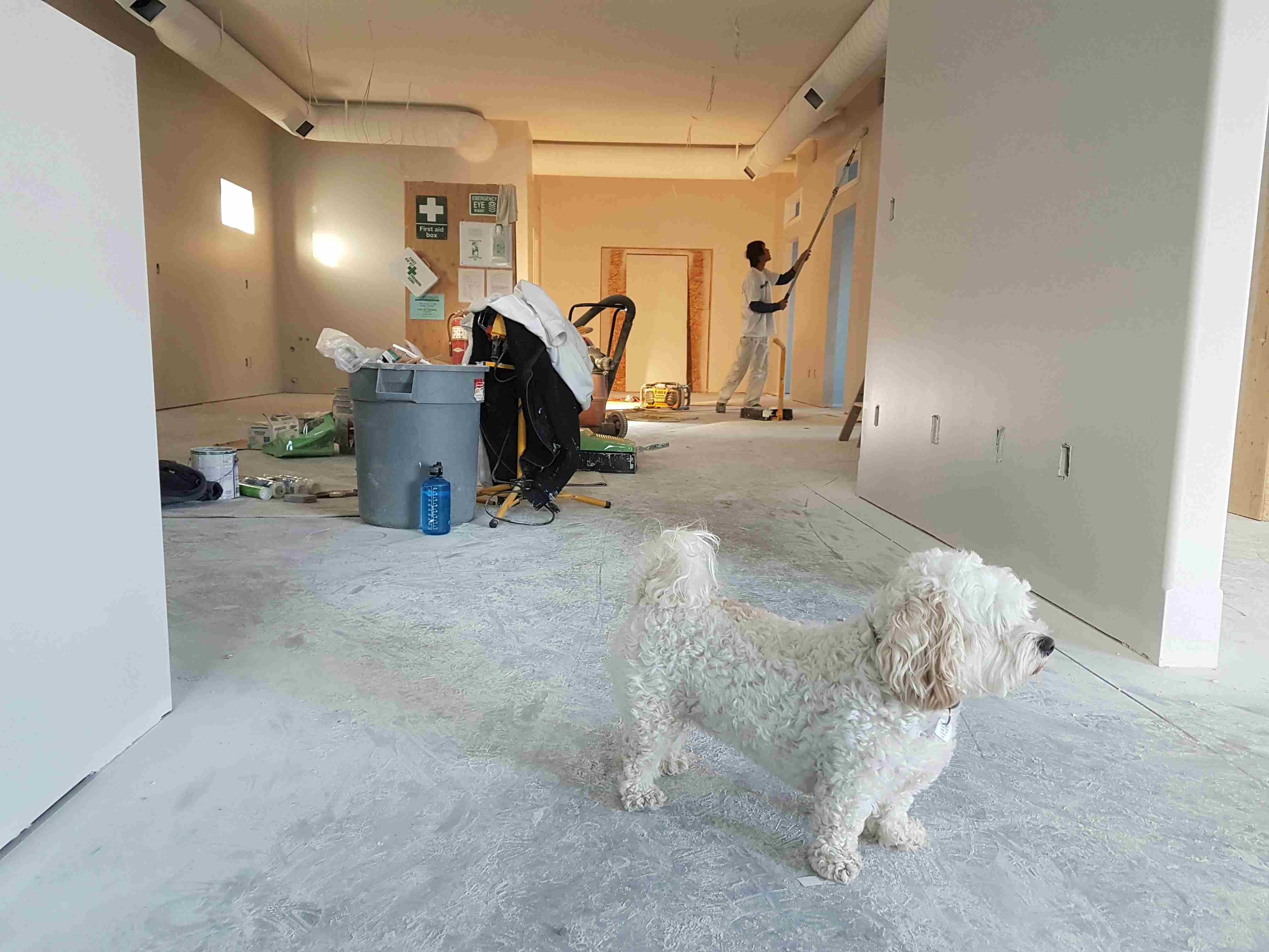 Ceiling insulation beneath residential roof framing